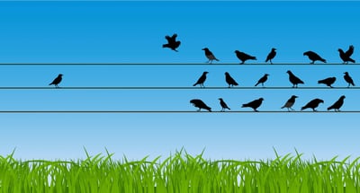 Selling through disruption