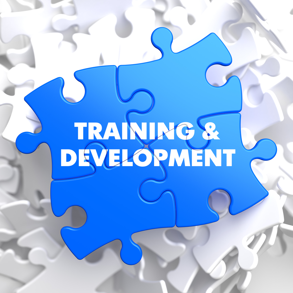 Training and Development Written on Blue Puzzle Pieces. Educational Concept. 3D Render.